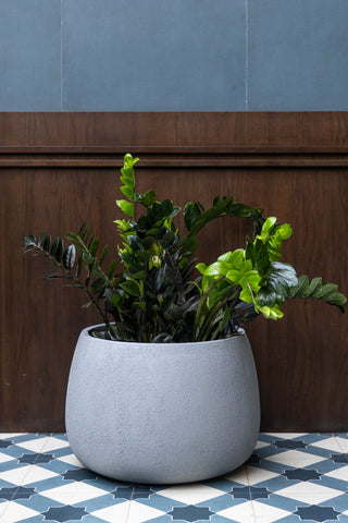 Why Fiberglass Planters are the Preferred Choice for Homes-fiji surface grey