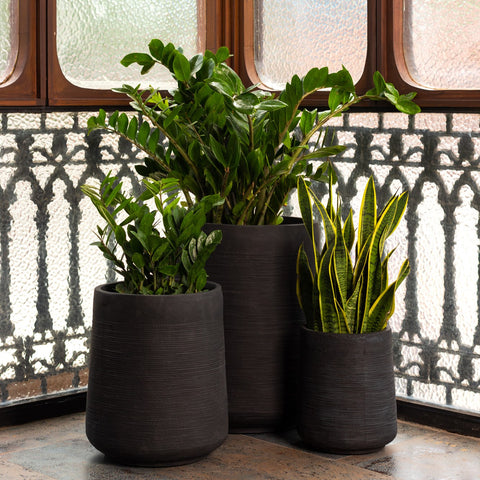 Choosing the Perfect Planter for Your Plants: A Comprehensive Online Guide