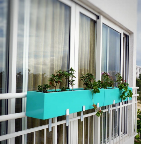 Greening Your Balcony: A Guide To Decorating With Plants