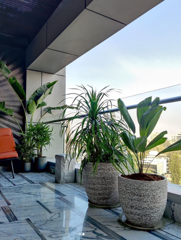 Space Makeover: Transform Your Home and Office with Large Planters-cuba series