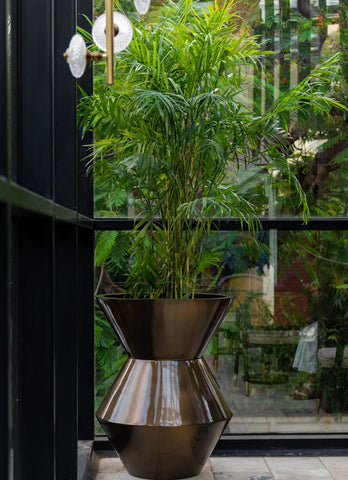 Choosing the Perfect Planter for Your Plants: A Comprehensive Online Guide-funnel planter