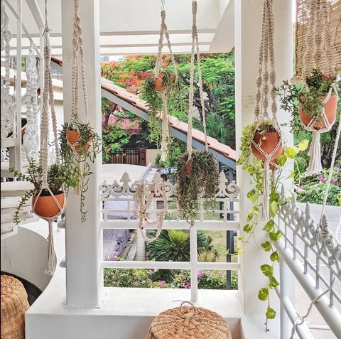 Greening Your Balcony: A Guide To Decorating With Plants