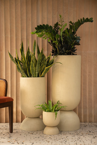 Why Fiberglass Planters are the Preferred Choice for Homes-hourglass shell white beige