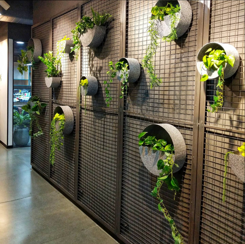 How to Build Your Own Vertical Garden at Home: Ideas, Benefits, and So Much More!