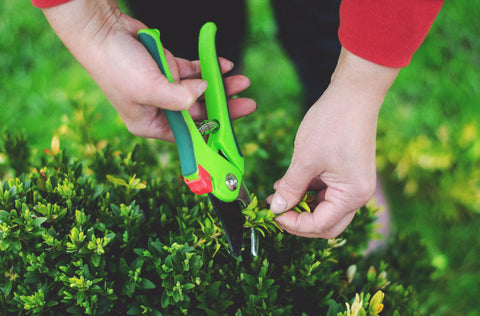 Spring Gardening: 8 Tips to Get Your Garden Ready for Growing Season