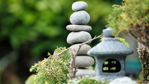 Transform Your Outdoor Space with These Zen Garden Ideas