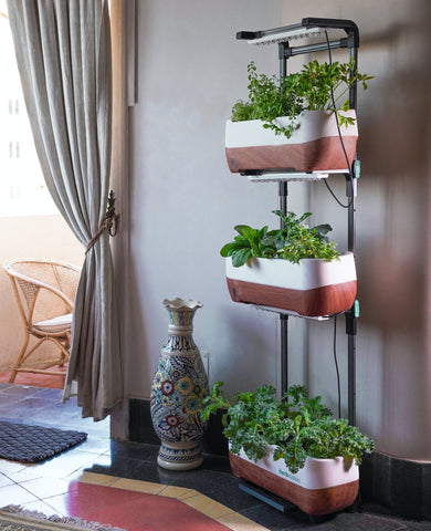 How to Build Your Own Vertical Garden at Home: Ideas, Benefits, and So Much More!