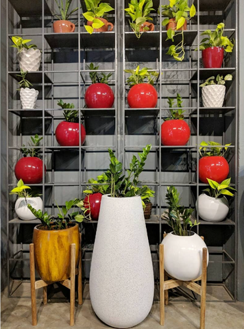 How to Build Your Own Vertical Garden at Home: Ideas, Benefits, and So Much More!