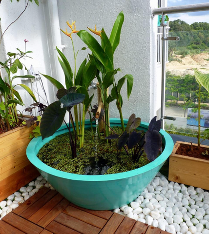 Planters Paradise: Creative Container Gardening Ideas