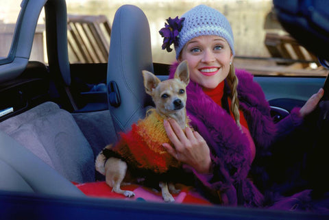 15 Famous Dog & Human Duos in Pop Culture: Bruiser and Elle