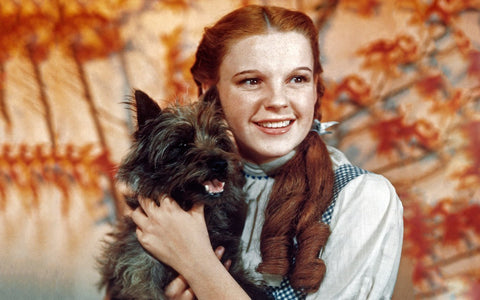 15 Famous Dog & Human Duos in Pop Culture: Toto and Dorothy in the Wizard of Oz