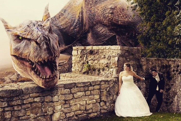 hilarious bride and groom wedding photos 