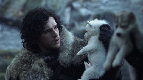 15 Famous Dog & Human Duos in Pop Culture: Jon Snow and his Direwolf Ghost