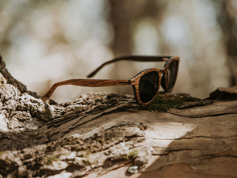 eco-friendly wooden sunglasses