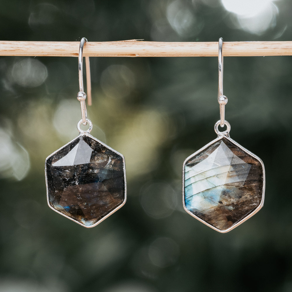 Mysterious Labradorite Hexagon Earrings