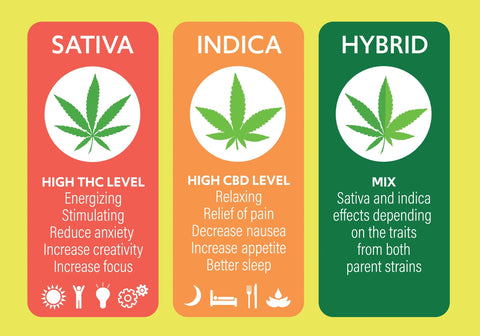 indica vs sativa vs hybrid