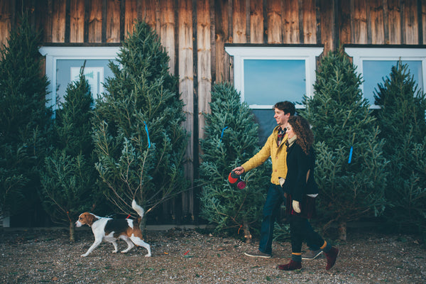 cutting down a christmas tree in canada hattitude jewels 20 things to do this holiday season