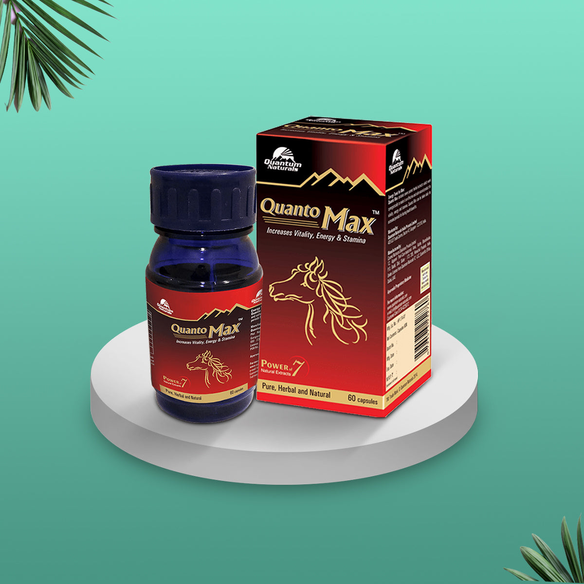 quanto-max-quantum-naturals