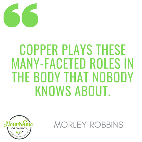 Morley Robbins on The Copper Sugar Connection