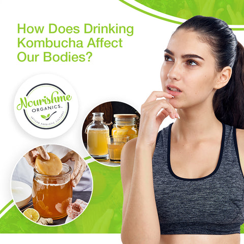 how does drinking kombucha affect our bodies? blog post