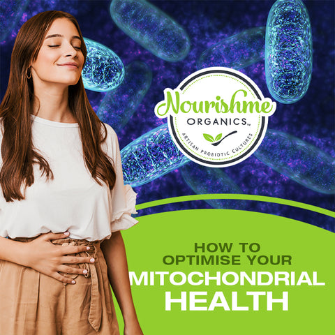 Mitochondrial Health