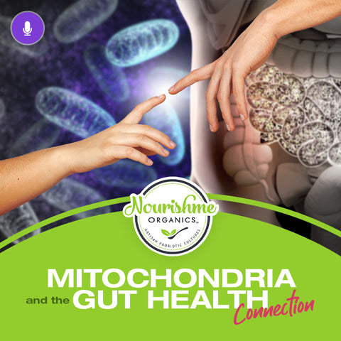 mitochondria and gut health