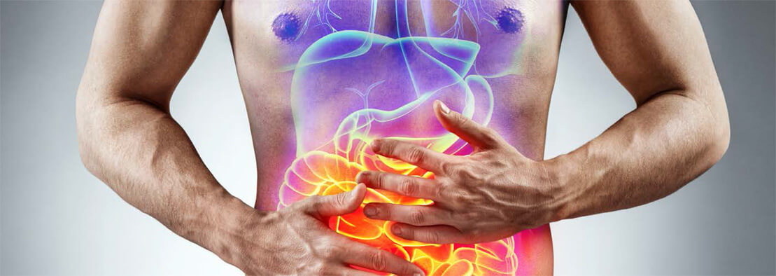 digestion and gut health