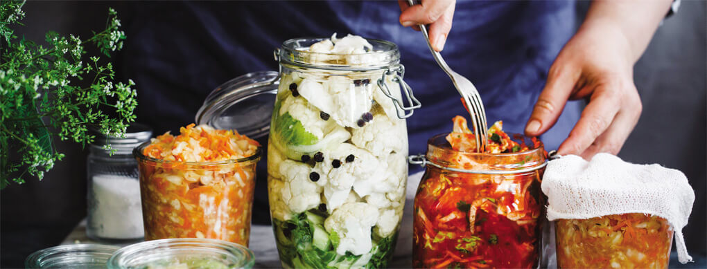 Healthy Fermented Foods