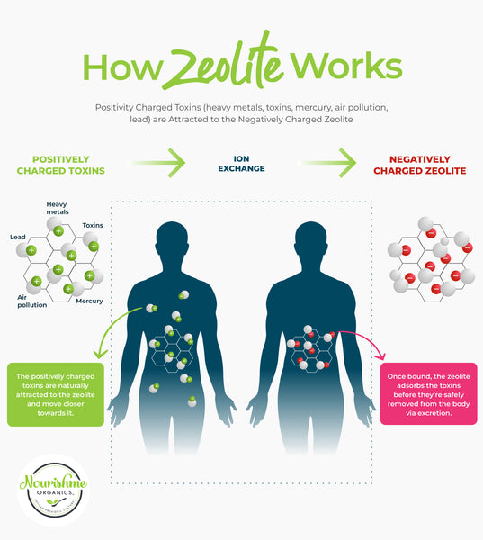 how zeolite works