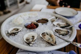 oysters and minerals