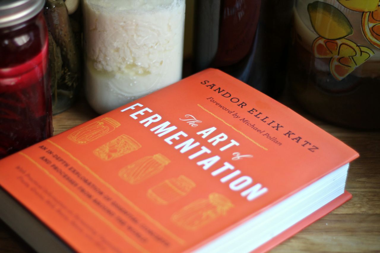 The Art Of Fermentation By Sandor Ellix Katz Nourishme Organics