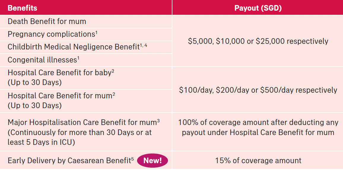 A Guide to Maternity Insurance in Singapore 2024 – Hatchery Cribs Singapore