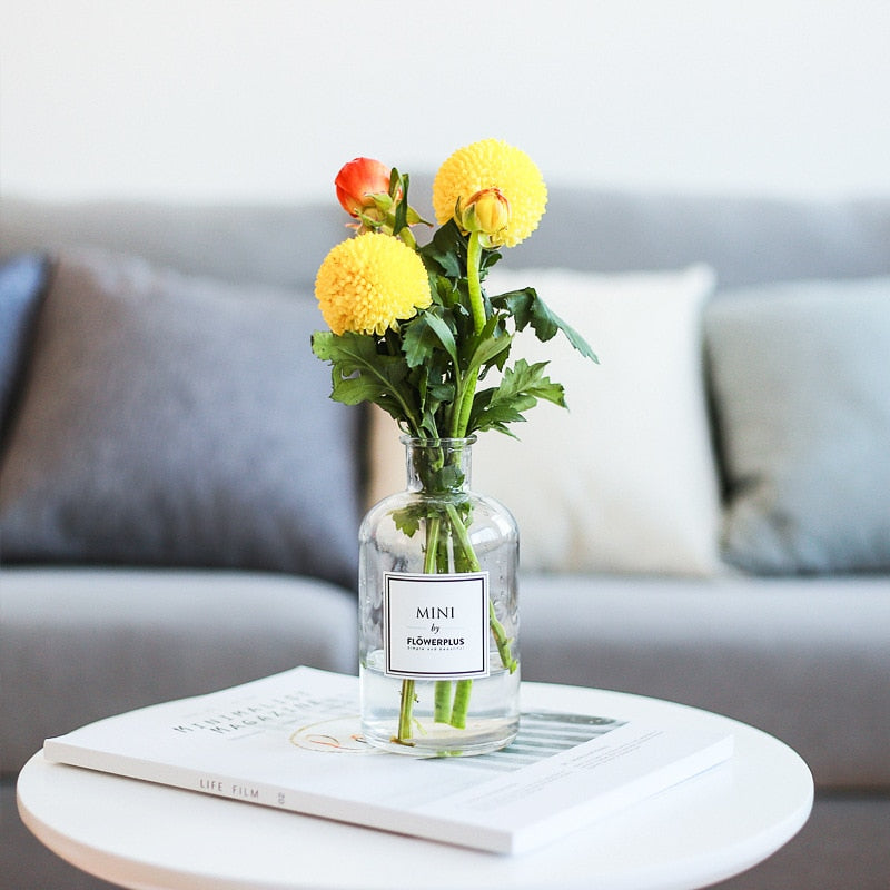 Tabletop Vase for Home Decoration Europe - themoonless