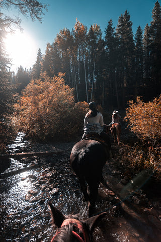 Une balade à cheval - VOYAGER Nutrition