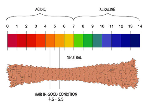 Haar optimaal pH-bereik in niet-giftige haarverzorging