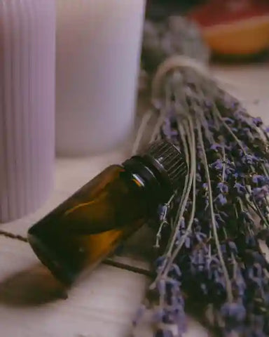 lavender essential oil