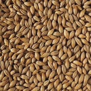 All Grain Brewing: A Beginners Guide - How To Get Started with All Grain Brewing