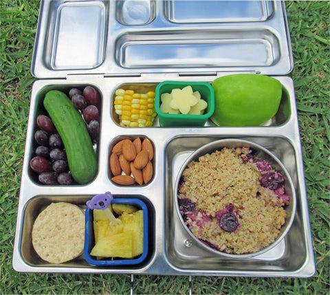 Lunchbox Compartment Dividers – The Lunchbox Queen