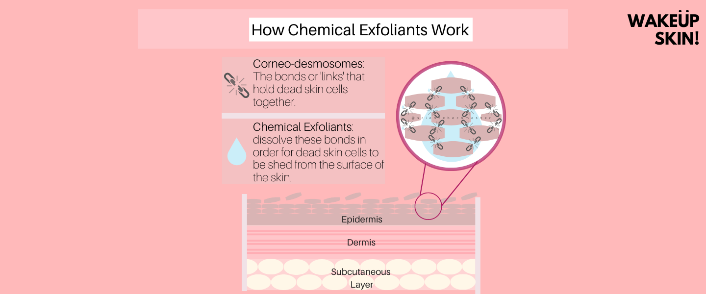 How Chemical Exfoliants Work
