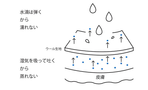 ウール/汗を吸って吐くから夏もムレない、汗冷えしない