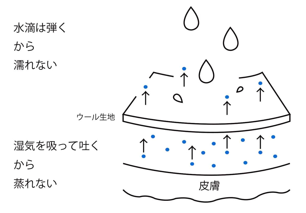 ウールが呼吸する　ベタつきを軽減する「吸放湿性」