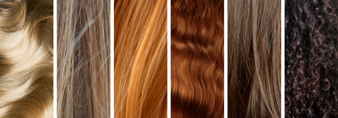 Warm Hair Colors