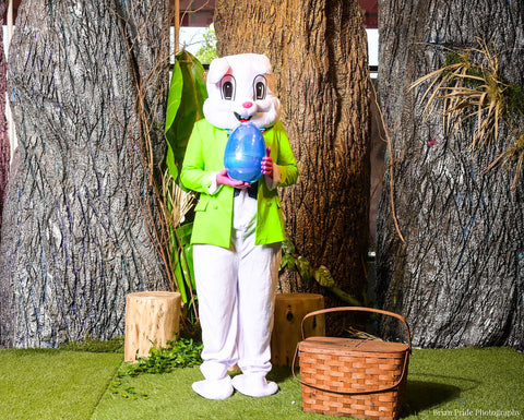 Easter Bunny at Fairy Godd Shoppers