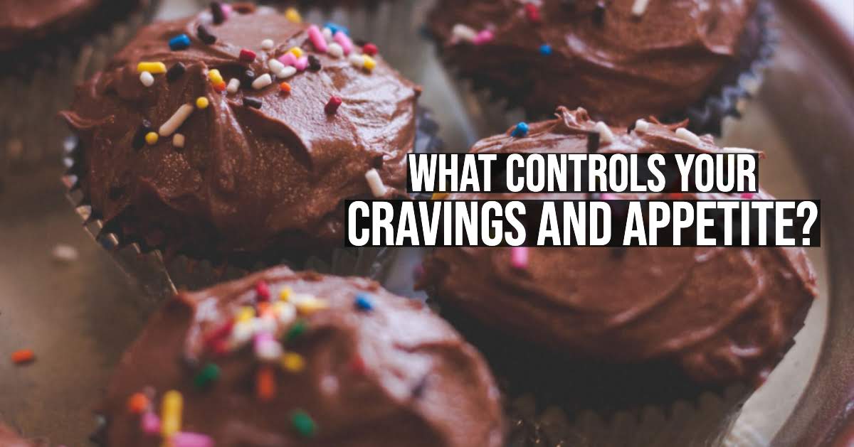 What controls your cravings and appetite