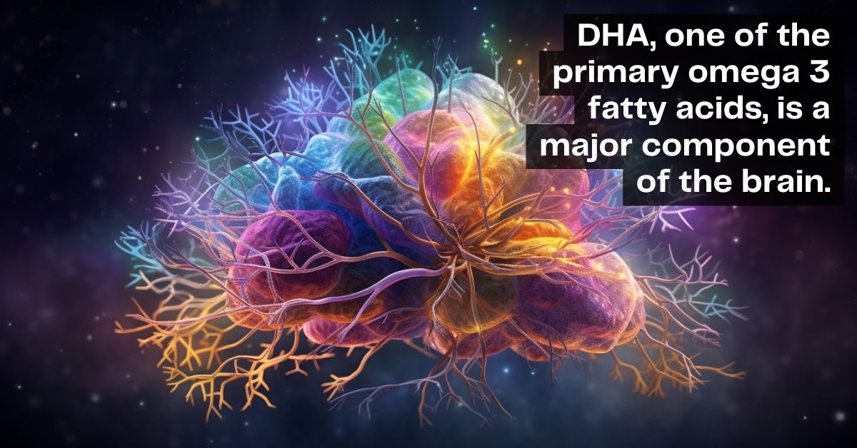 DHA Omega 3 and brain function