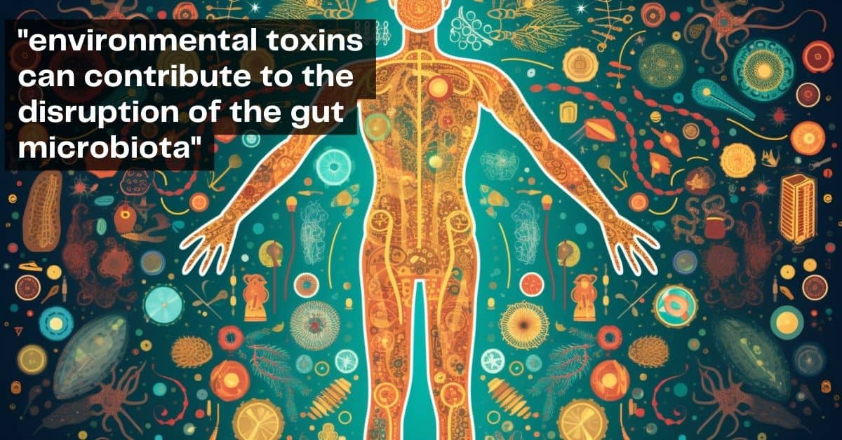 Environmental toxins can contribute to the disruption of gut microbiota