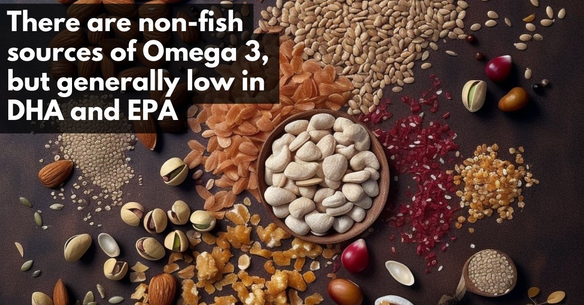 Non fish sources of Omega 3