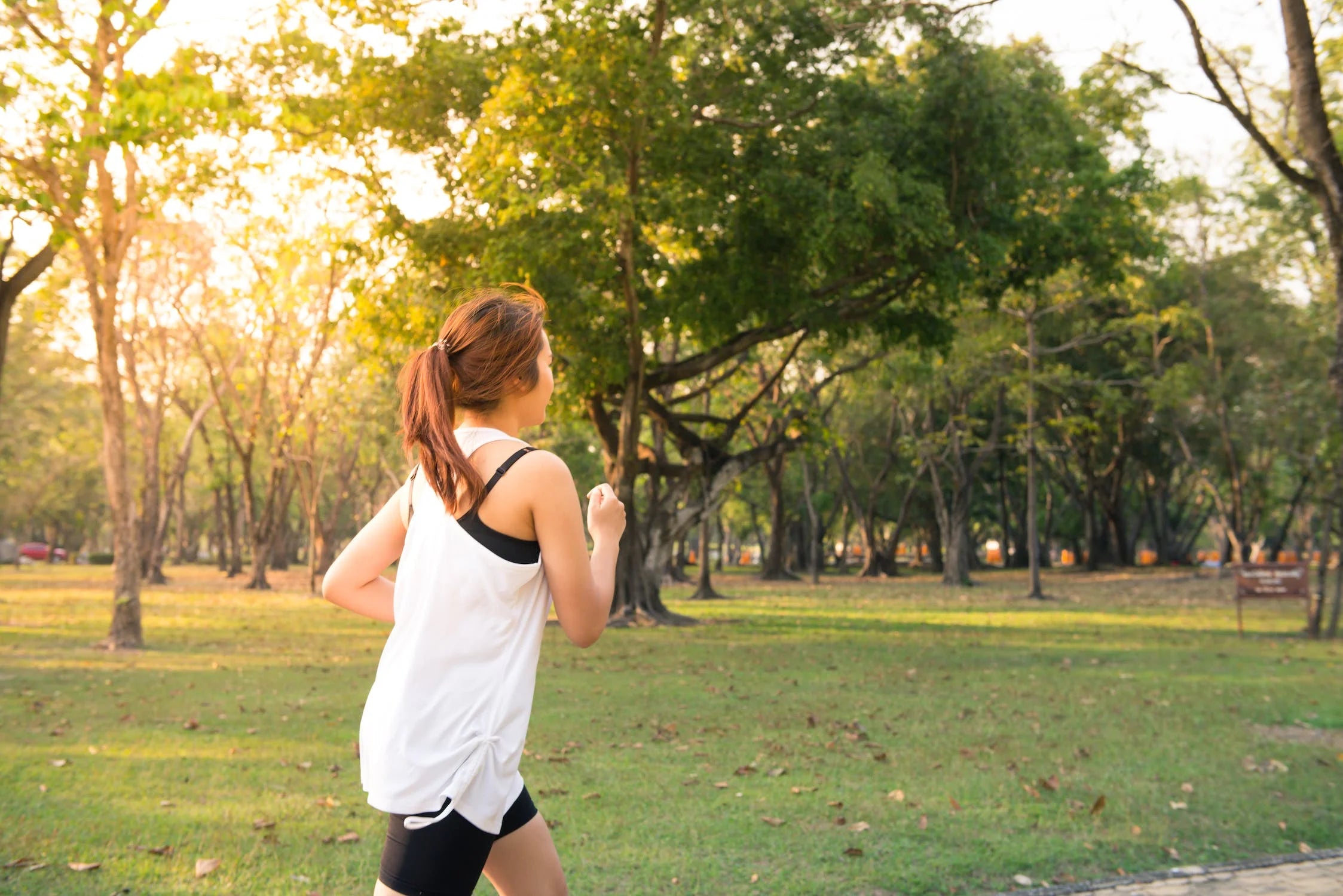 Benefits of Superfood Powders