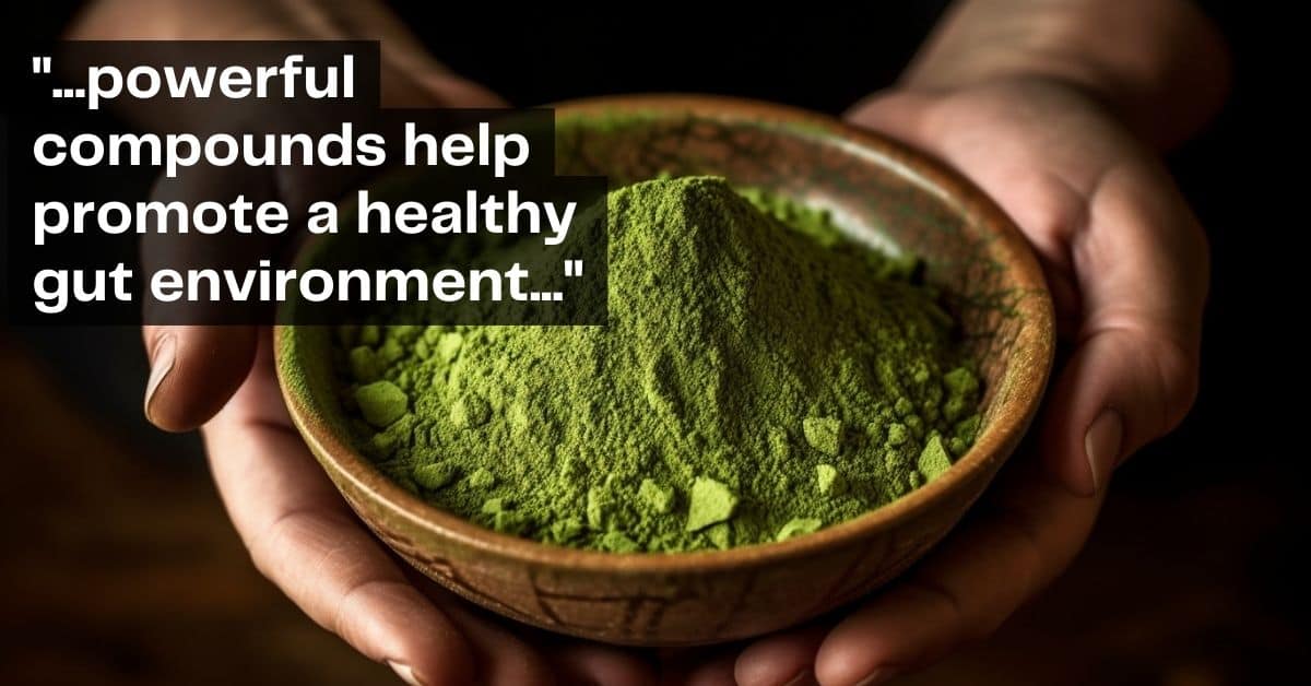 Powerful compounds from powdered greens