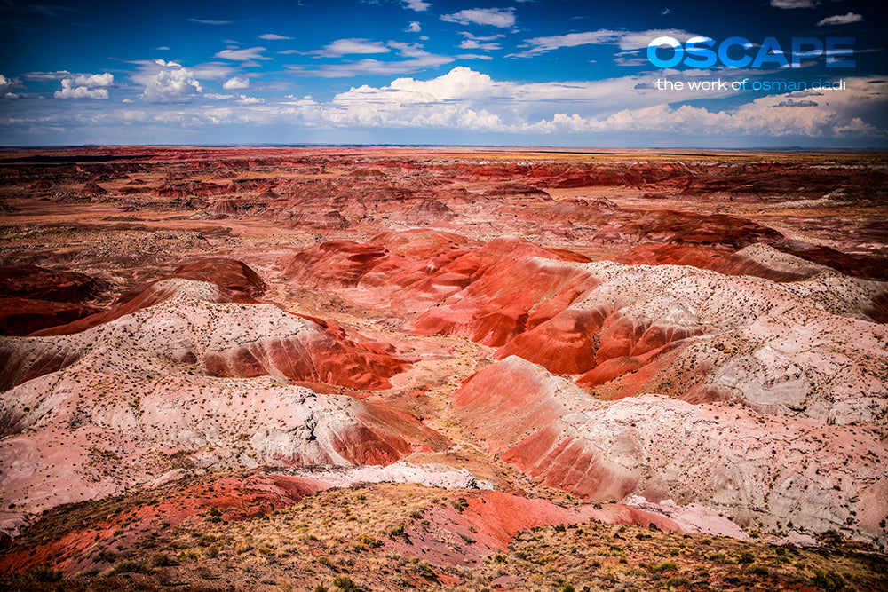 The Painted Desert I